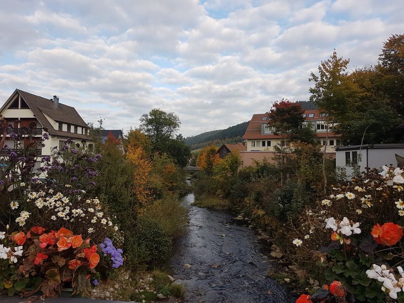 Germany: Bavaria, the Black Forest, and Oktoberfest