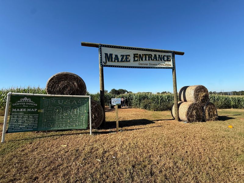 Getting Lost in the Corn Maze