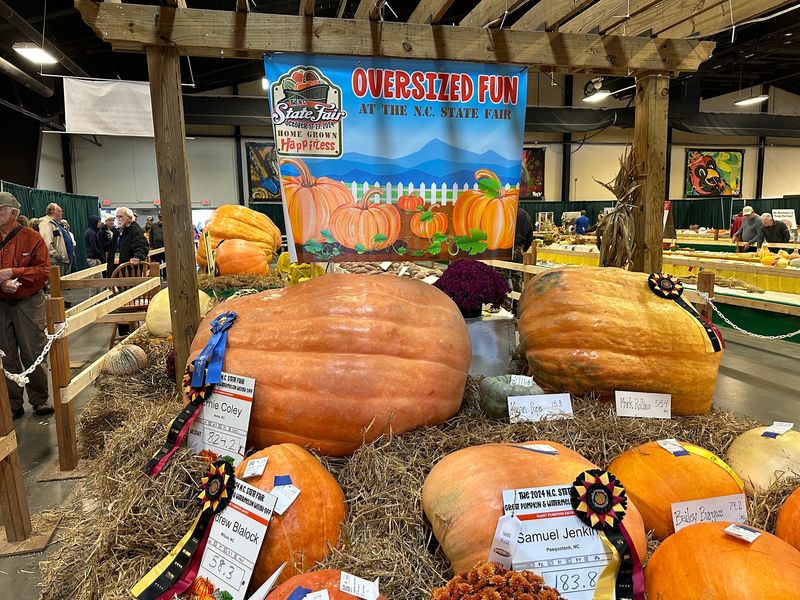 Giant Pumpkins and Barnyard Friends Giant Pumpkins and Barnyard Friends