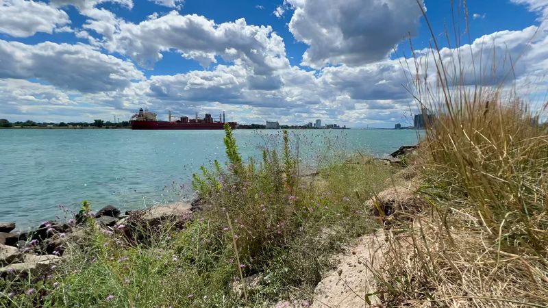 Giant Ships Drift By Like Floating Neighborhoods