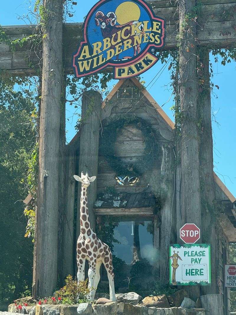 Gift Shop Stops and Side Attractions