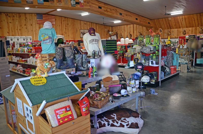 Gifts, Honey, and Bird Feeders Gifts, Honey, and Bird Feeders