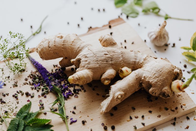 Ginger for Nausea Ginger for Nausea