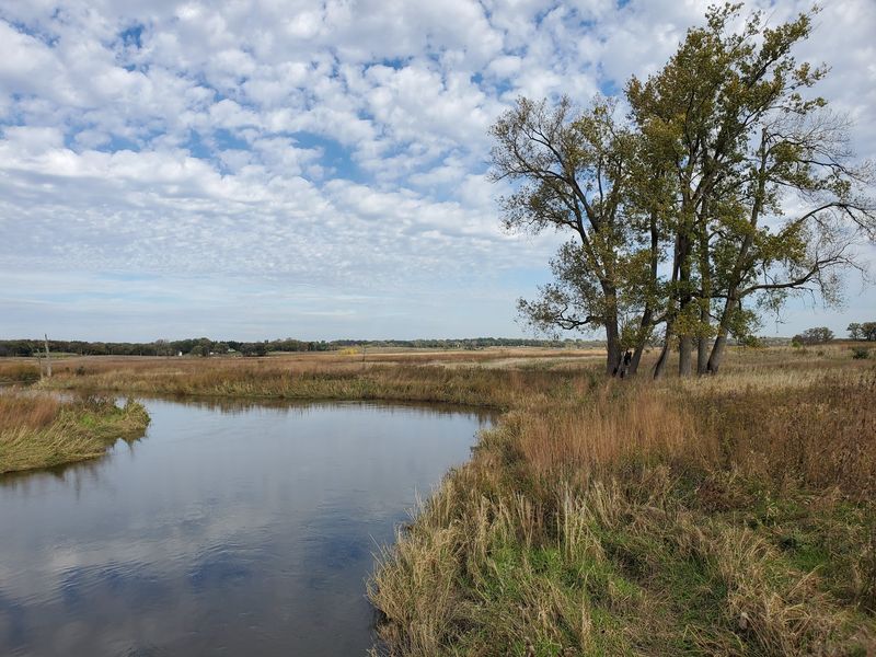 Glacial Park Conservation Area, Illinois, Ringwood