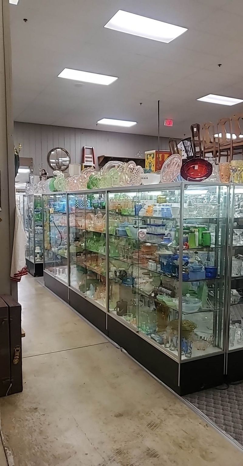 Glass Cases Full of Small Treasures Glass Cases Full of Small Treasures