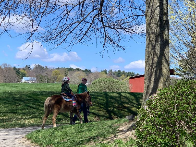 Go-Karts, Pony Rides, and the Famous Burlap Slide