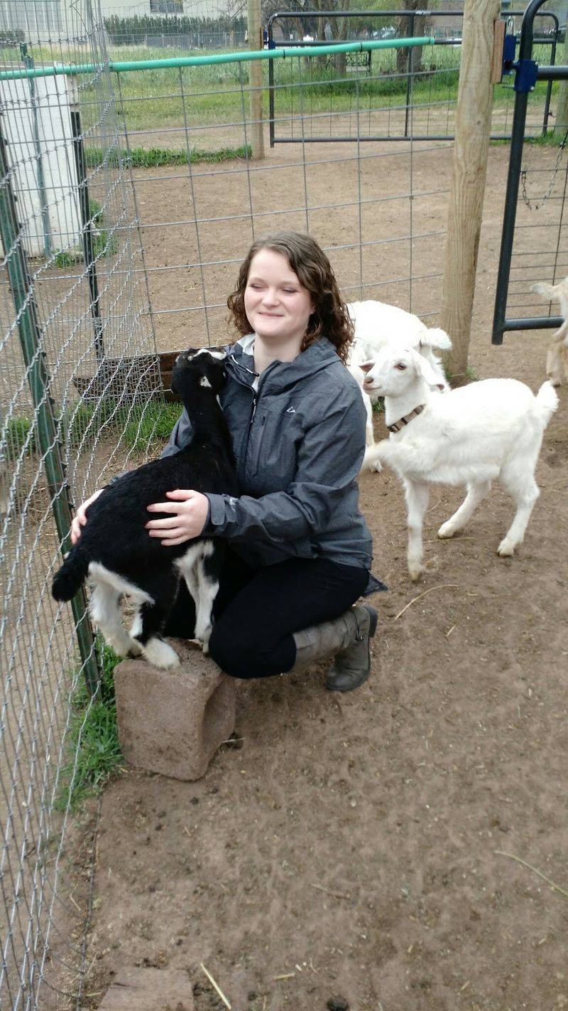 Goat Kid Bottle Feeding