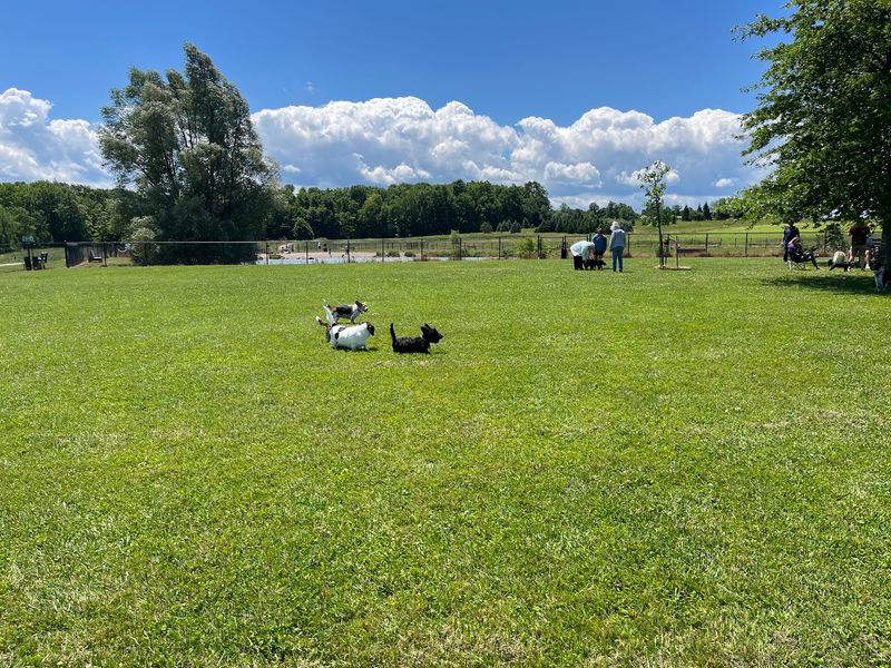 Goats, Bunnies, And The Very Soft Side Of The Farmpark Goats, Bunnies, And The Very Soft Side Of The Farmpark