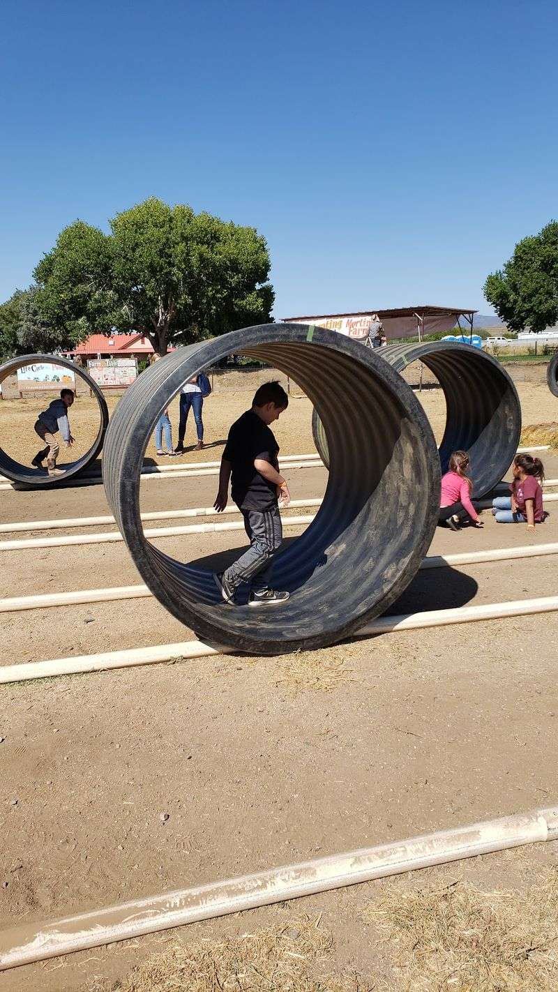 Goats, Chickens, and a Bounce Pad