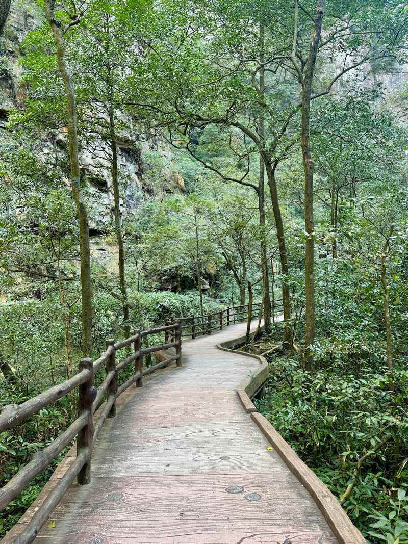 Golden Whip Stream Walk Golden Whip Stream Walk