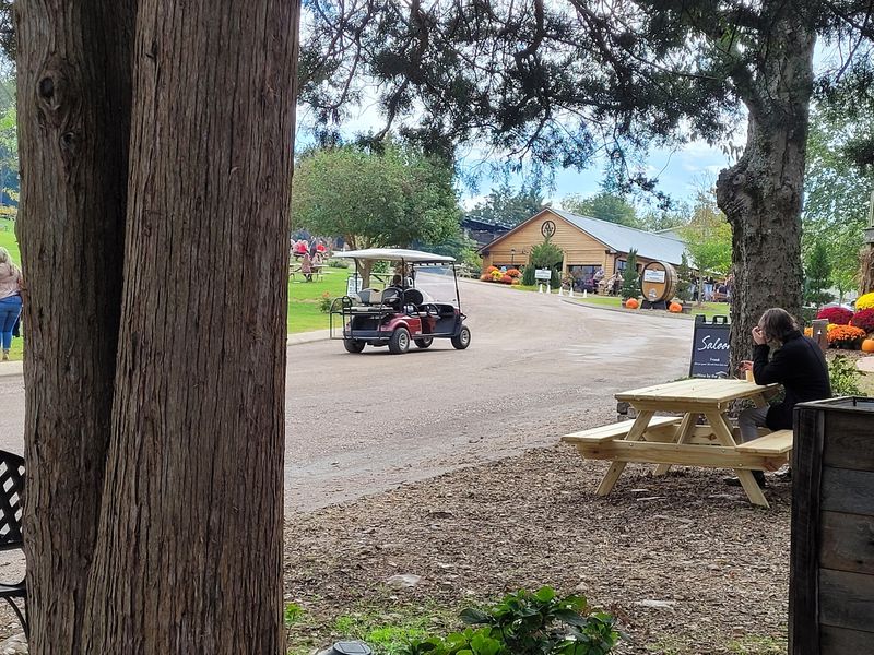 Golf Cart Rides Up the Hill