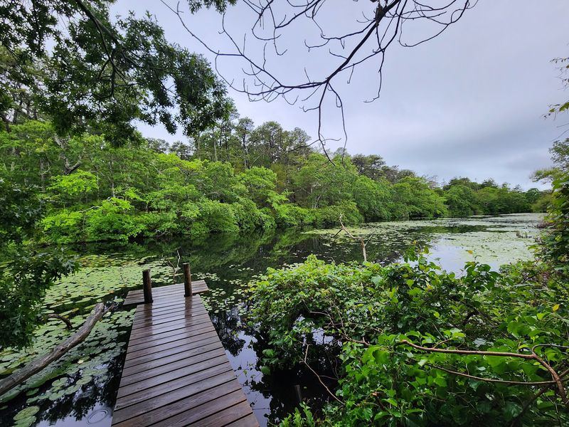 Goose Pond and the Trail Out