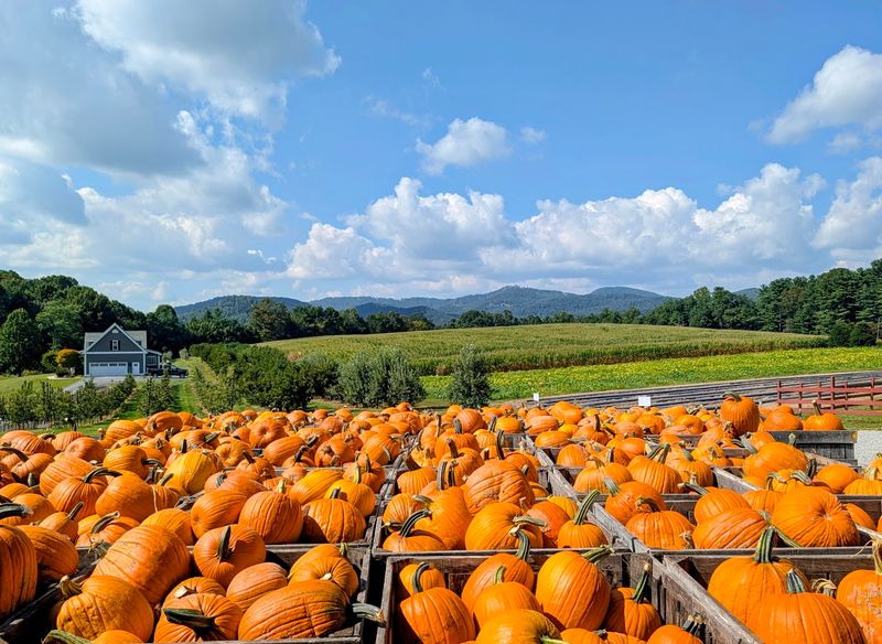 Grandad's Apples, Hendersonville, NC