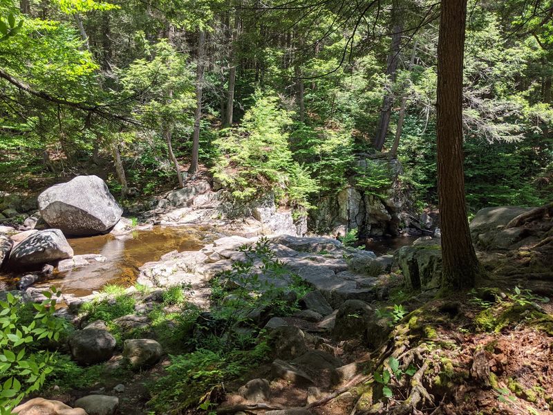 Granville State Forest, Granville, MA