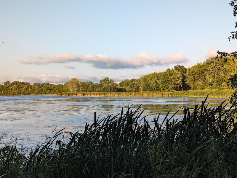 Grassy Lake Forest Preserve, Illinois, Lake Barrington