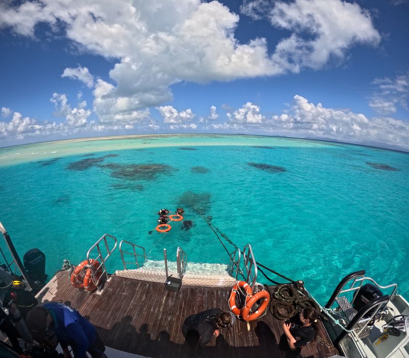 Great Barrier Reef Diving, Australia Great Barrier Reef Diving, Australia