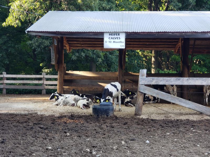 Great Brook Farm State Park, Carlisle, MA