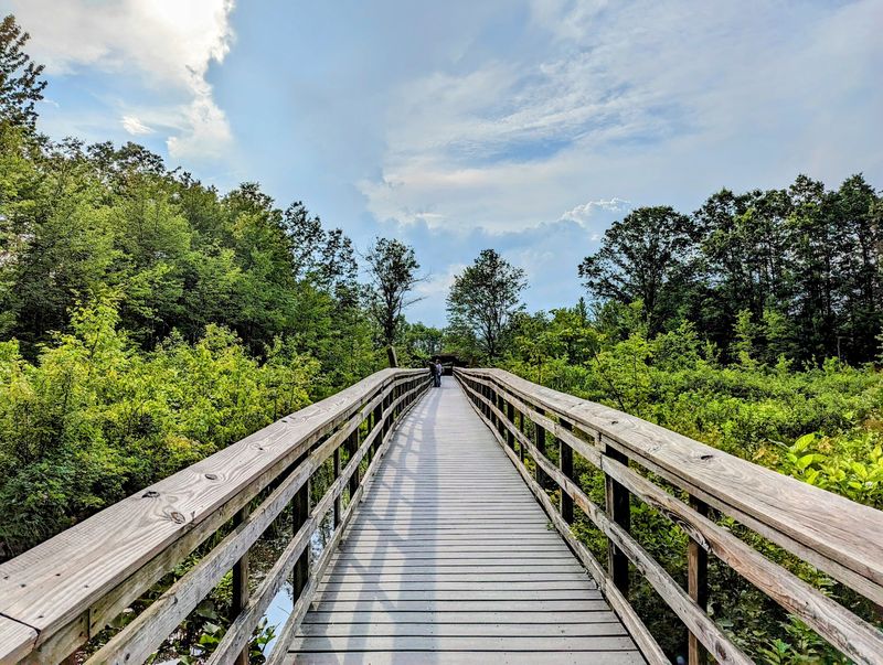 Great Swamp Wildlife Observation Center, Gillette, NJ