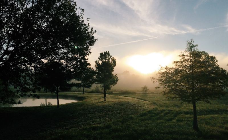 Green Country Scenery