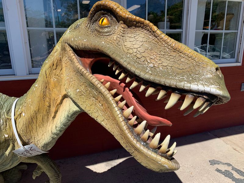 Greeted by a Dinosaur in the Yard Greeted by a Dinosaur in the Yard