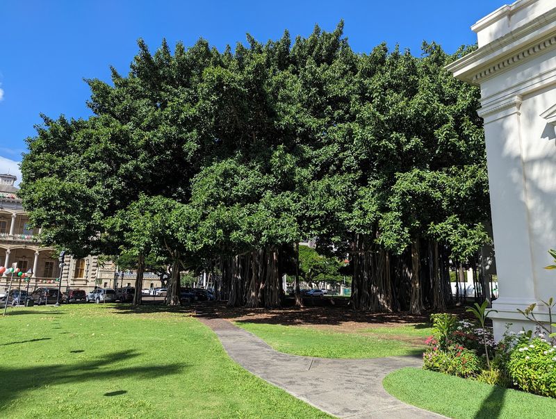 Grounds, Big Trees, And Free Garden Moments Grounds, Big Trees, And Free Garden Moments