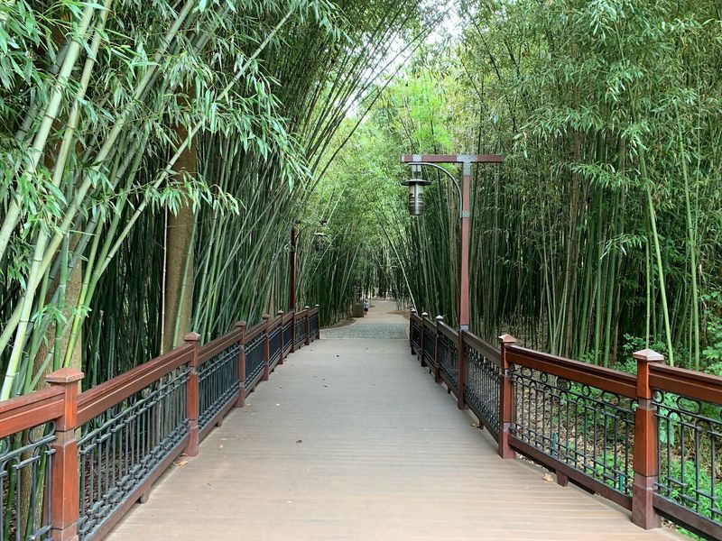 Grounds Built for Wandering Grounds Built for Wandering