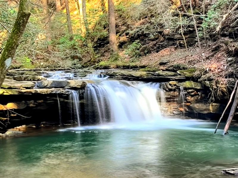 Grundy Forest State Natural Area at South Cumberland State Park, Tracy City, TN Grundy Forest State Natural Area at South Cumberland State Park, Tracy City, TN