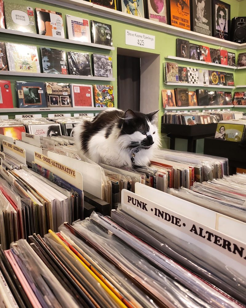 Guestroom Records OKC, Oklahoma City, OK Guestroom Records OKC, Oklahoma City, OK