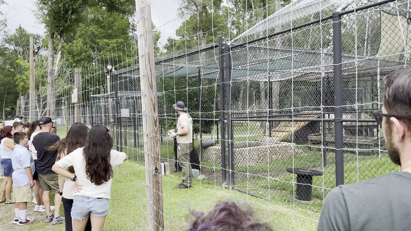Guided Tours That Turn Empty-Looking Enclosures Into Stories Guided Tours That Turn Empty-Looking Enclosures Into Stories