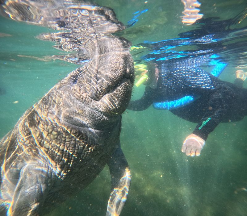 Guides Who Double as Underwater Photographers Guides Who Double as Underwater Photographers