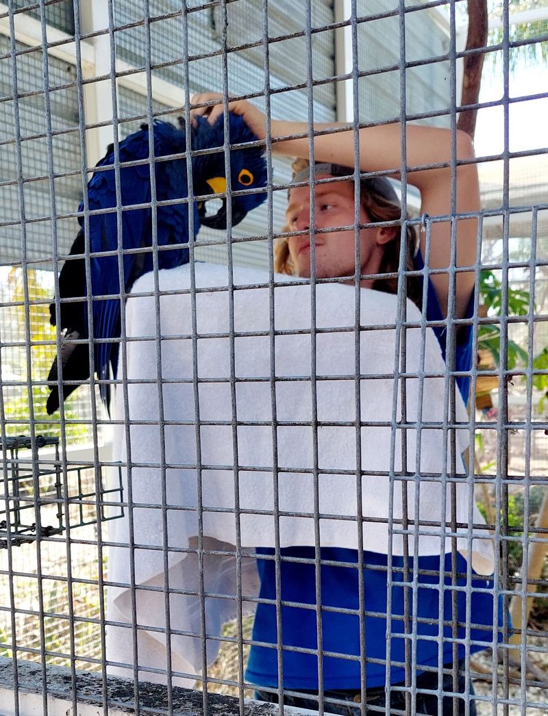 Guides Who Know Every Feathered Name