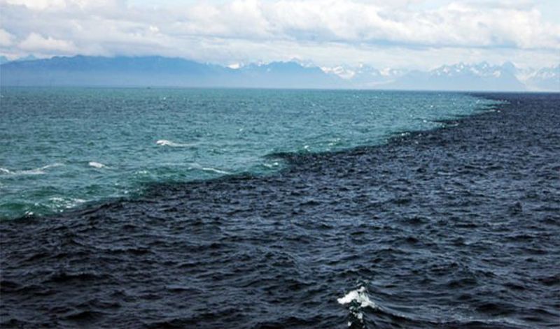 Gulf of Alaska