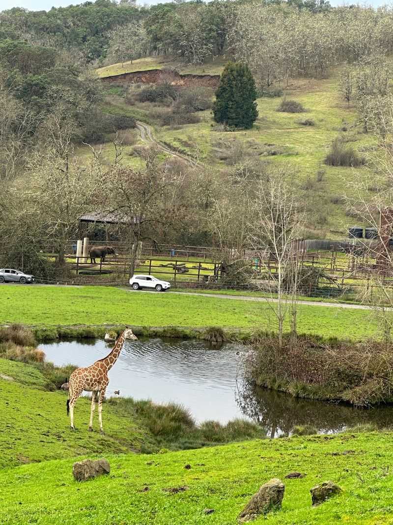 Habitats Big Enough for Animals to Choose Their Spot