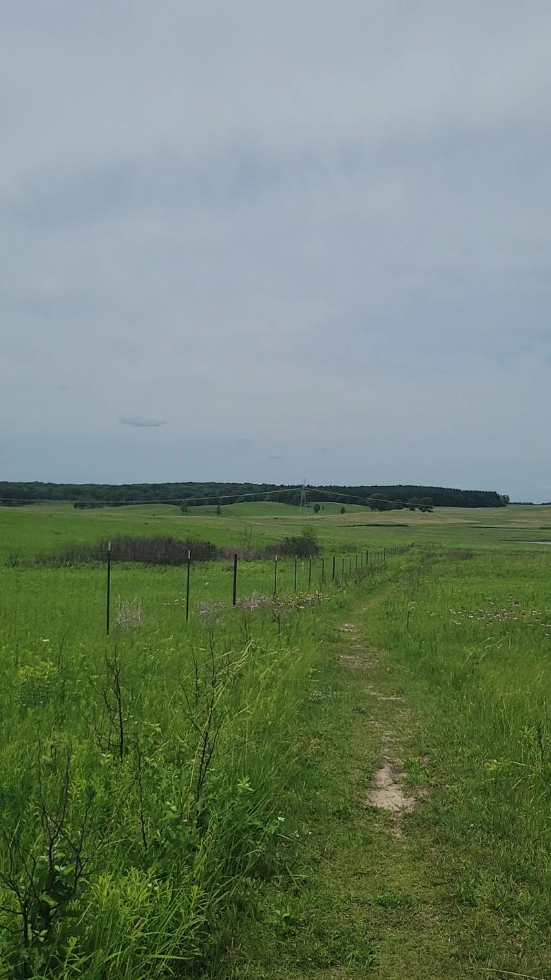 Half-Mile Loops and Savanna Paths Half-Mile Loops and Savanna Paths