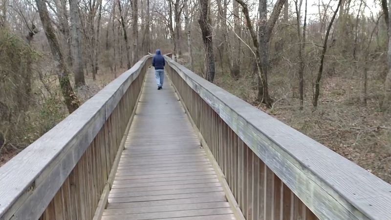 Half a Mile of Easy Walking