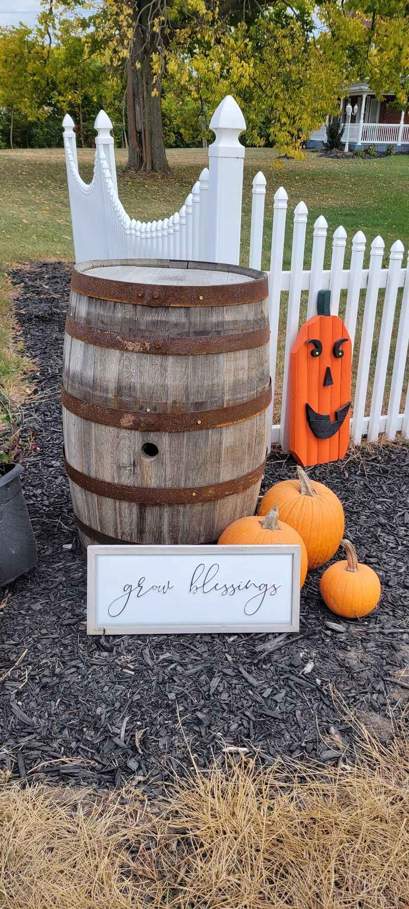 Halloween Fun, Dinosaurs, and Planning Tips