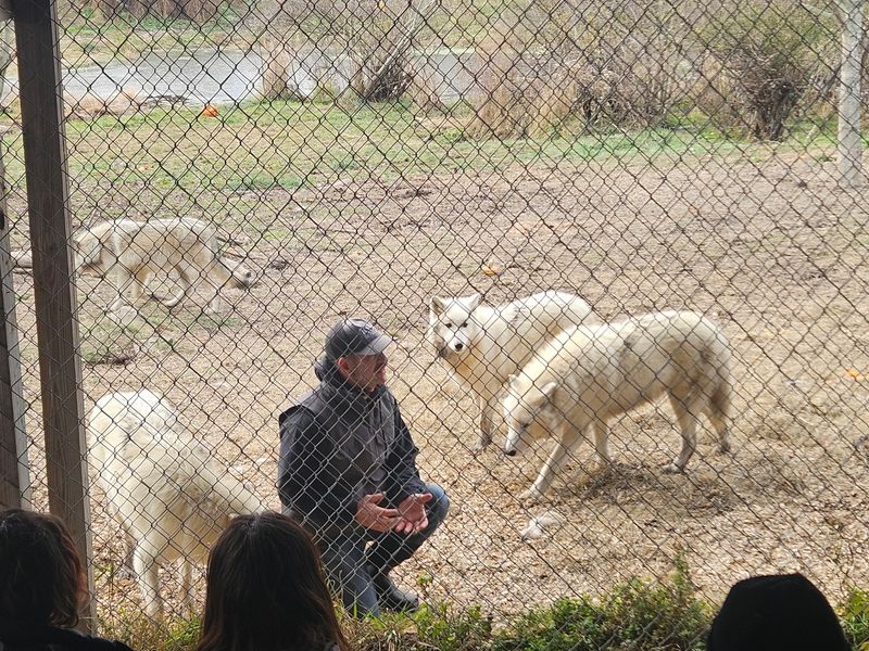 Hands-On Learning Before the Tour