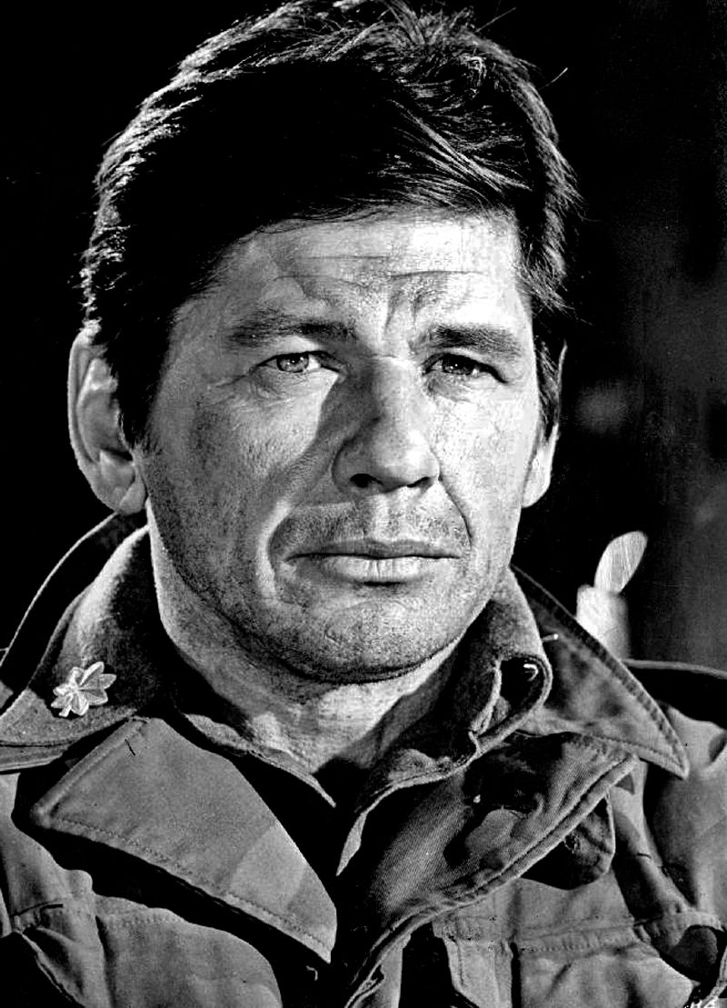 Harmonica, Charles Bronson, Once Upon a Time in the West Harmonica, Charles Bronson, Once Upon a Time in the West