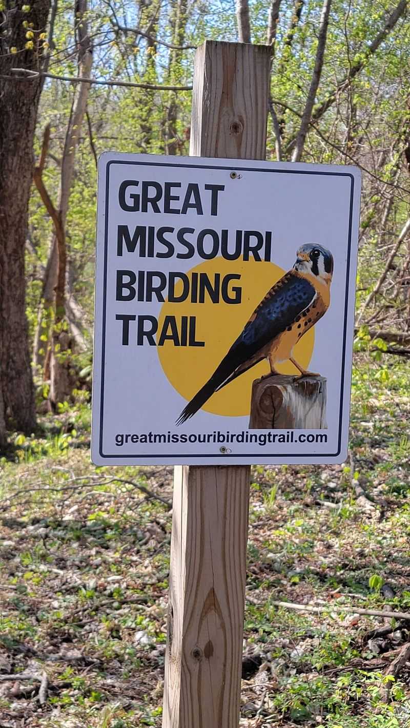 Hawks, Eagles, and a Hundred-Plus Species