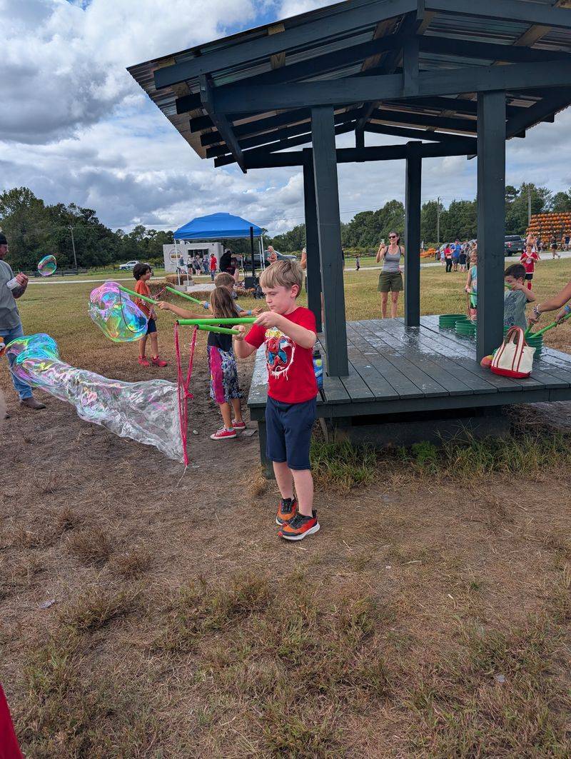 Hayrides, Bubbles, and Furry Friends