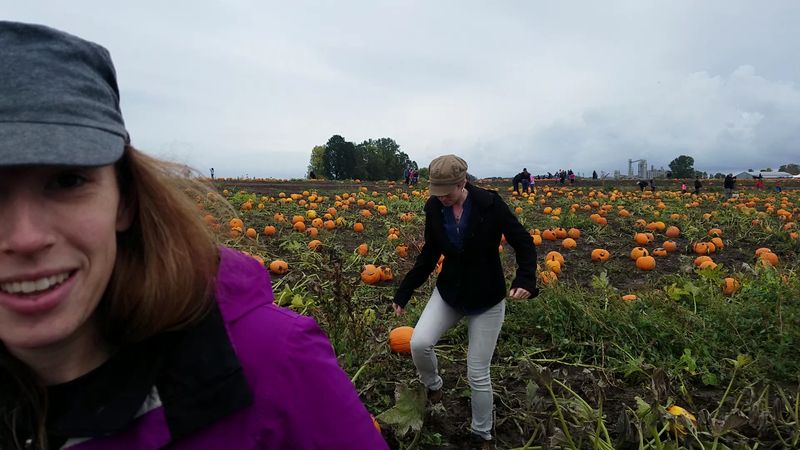 Hayrides Out to the U-Pick Patch Hayrides Out to the U-Pick Patch