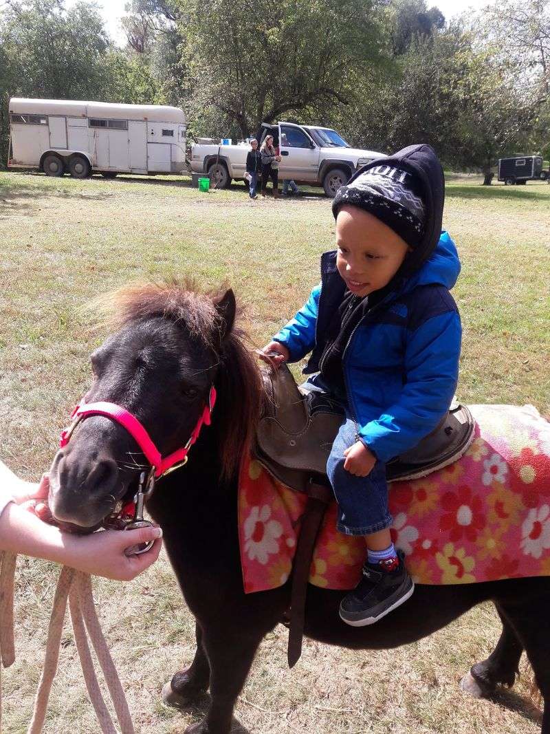 Hayrides, Pumpkins, and Pony Rides on a Budget Hayrides, Pumpkins, and Pony Rides on a Budget