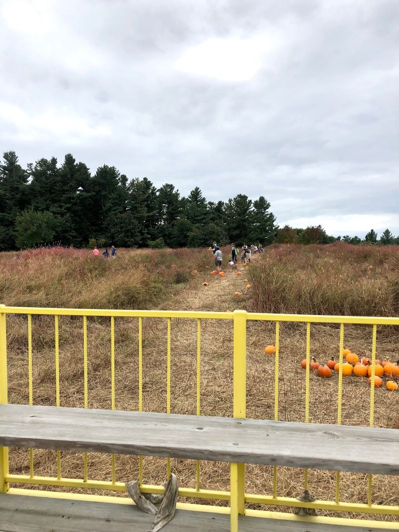 Hayrides Up to the Pumpkin Patch Hayrides Up to the Pumpkin Patch
