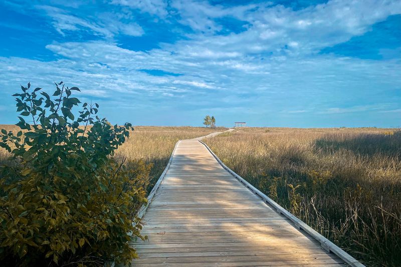 Headlands Beach State Park