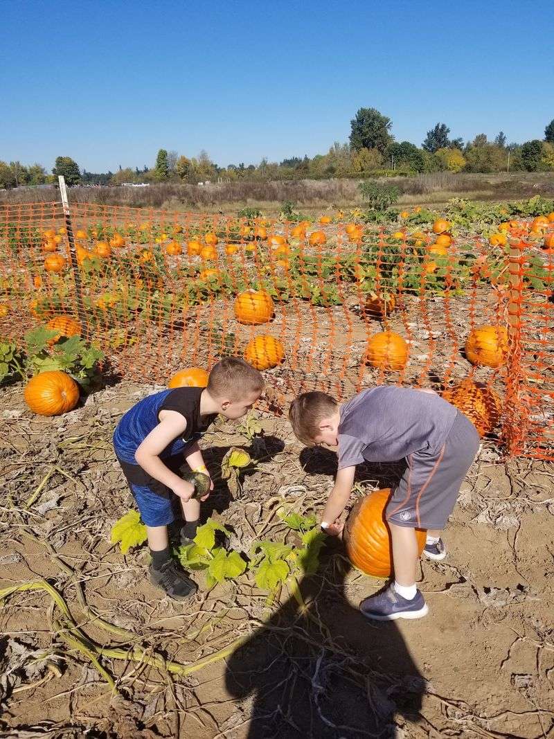 Heiser Farms, Dayton, OR