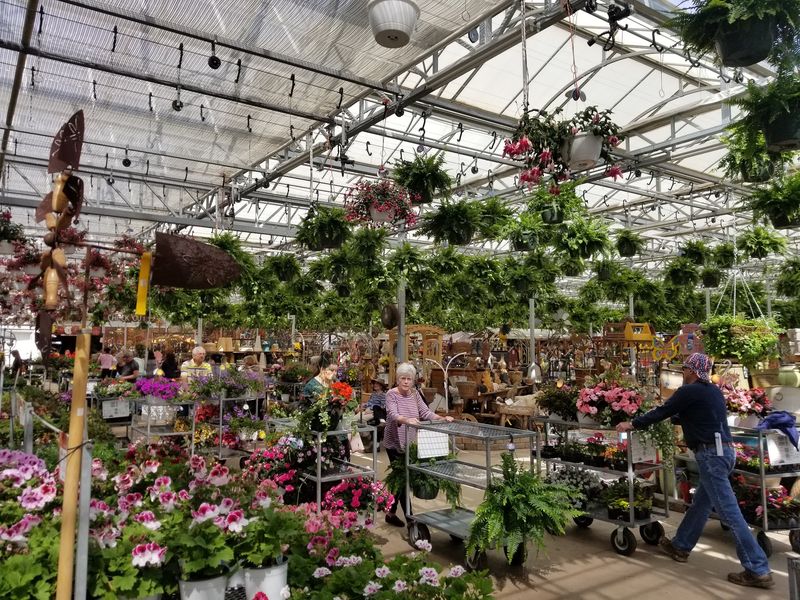 Helpful Hands Who Know Their Plants Helpful Hands Who Know Their Plants
