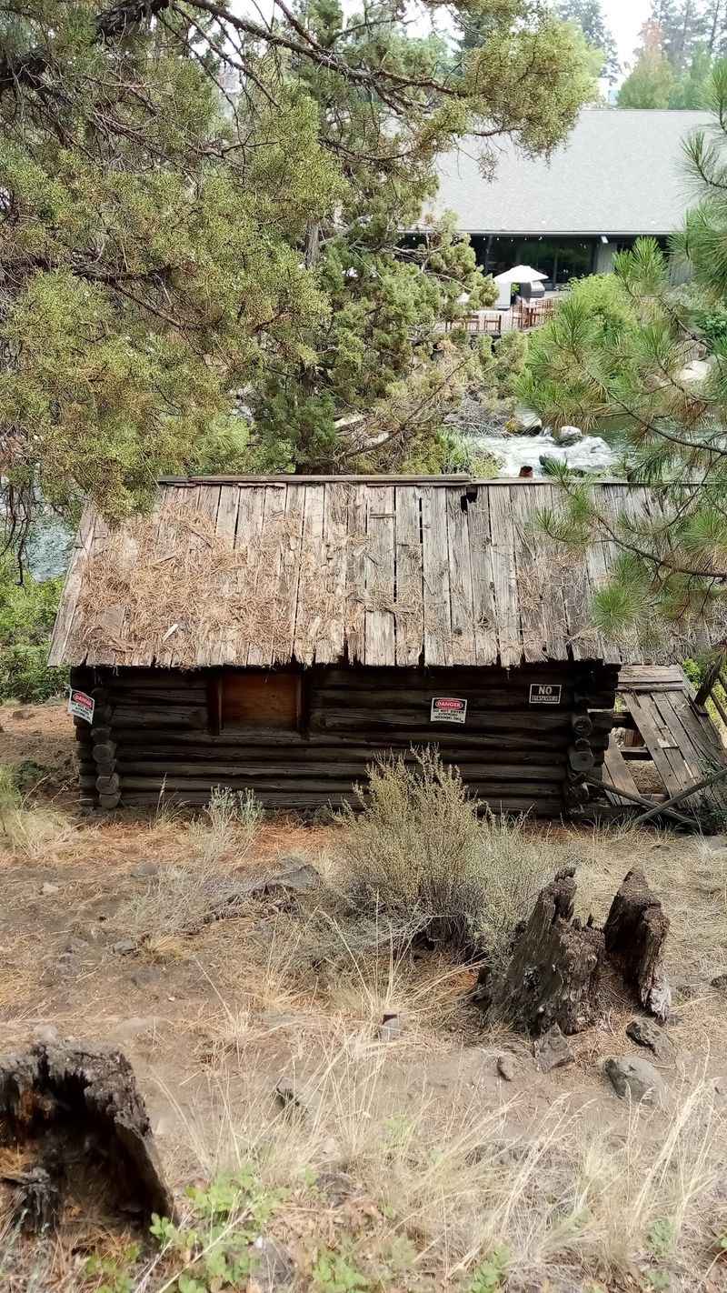 High Desert Museum for Rest-Day Wandering