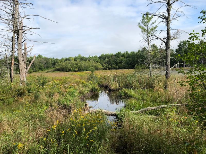 Hikers, Horses, and a Bigger Backyard