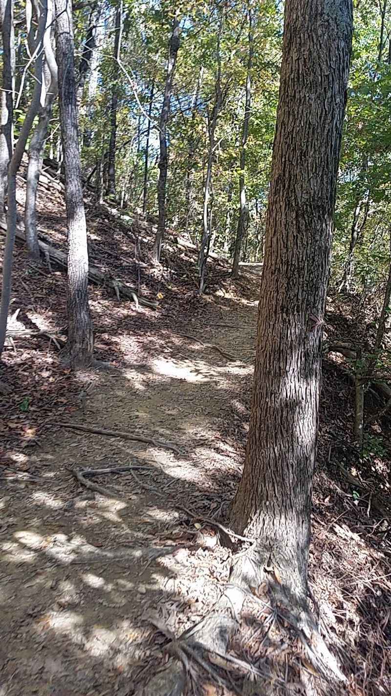 Hills, Roots, and a Real Workout Hills, Roots, and a Real Workout