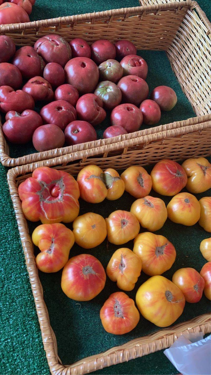 Hillsboro Farm Country Market, Hillsborough Township, NJ